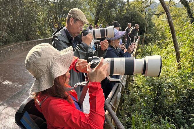 2-Days PRIVATE Brasil & Argentina Experience Iguazu Falls - Walking, heat, and the pace of a private tour