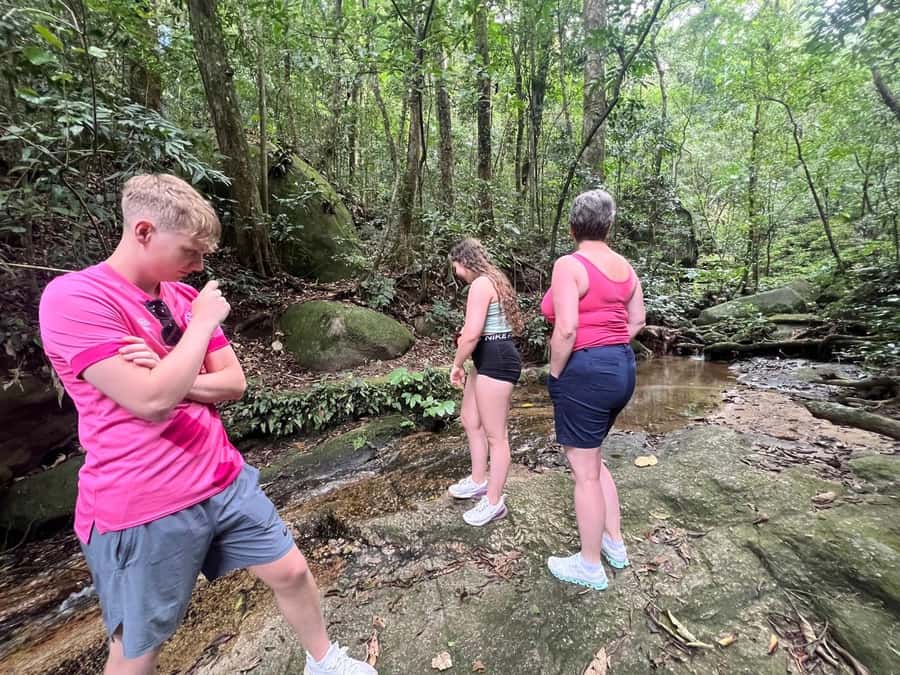 2 Days Private Tour in Rio de Janeiro - A rainforest inside the city