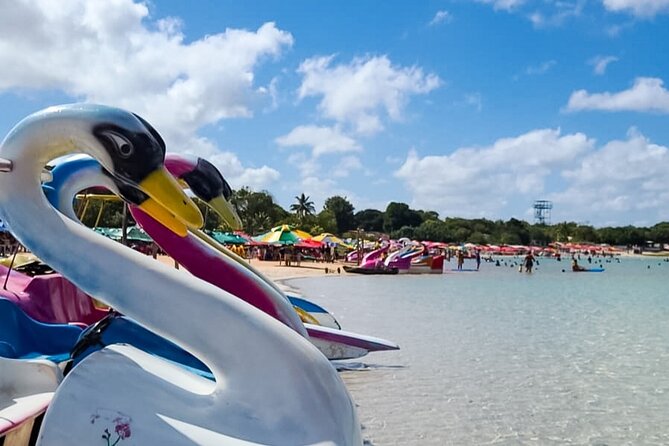 4x4 tour on the South Coast of Natal - Alcaçuz Lagoon and Aqualand’s playful hour