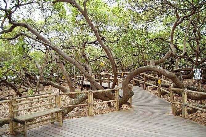 4x4 tour on the South Coast of Natal - Barreira do Inferno: a brief opening stop