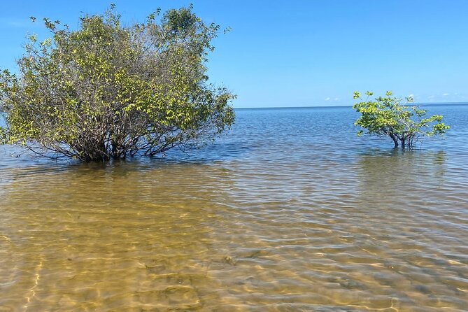 8day expedition of scenic beauty and Amazon traditional culture on Tapajós River - Why the Tapajós River Makes This Trip Different