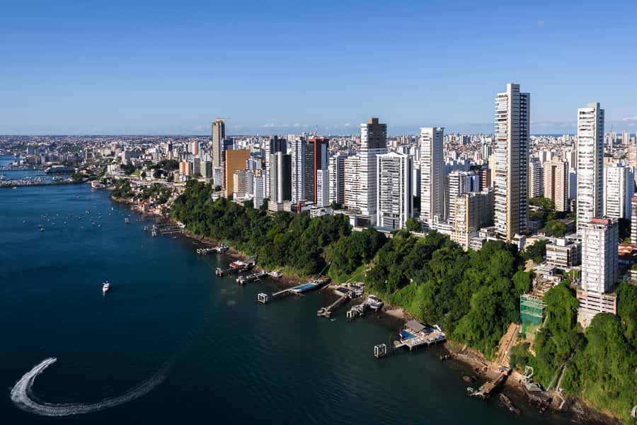 Afro-Brazilian Roots Private City Tour in Salvador - Tororó Dike and African figures in the city