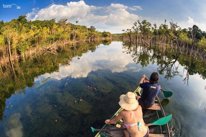 Alter do Chão FLONA Jamaraquá Tour - Key points to know before booking