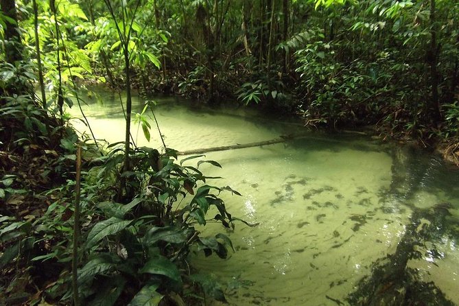 Alter do Chão FLONA Jamaraquá Tour - Why this Jamaraqua route is more than a forest visit