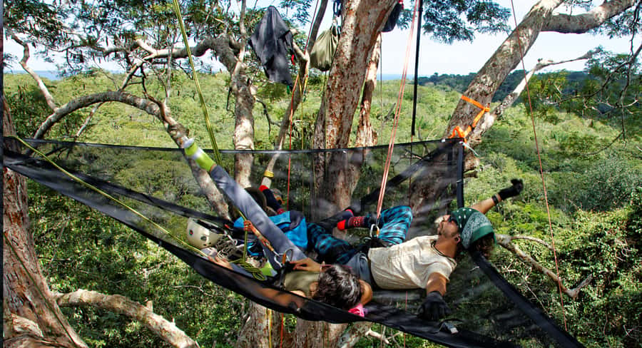 Amazon Jungle 3-Hour Tree Climbing Activity - Key Points Before You Book