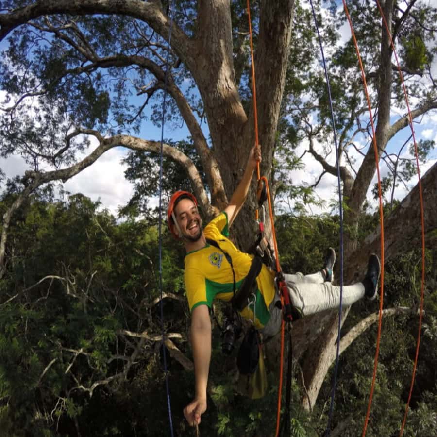 Amazon Jungle 3-Hour Tree Climbing Activity - From Hotel Pickup to the Forest