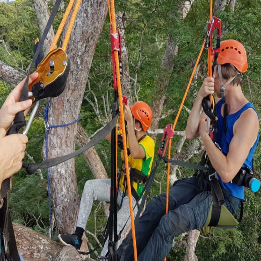 Amazon Jungle 3-Hour Tree Climbing Activity - Is $170 a Fair Price?