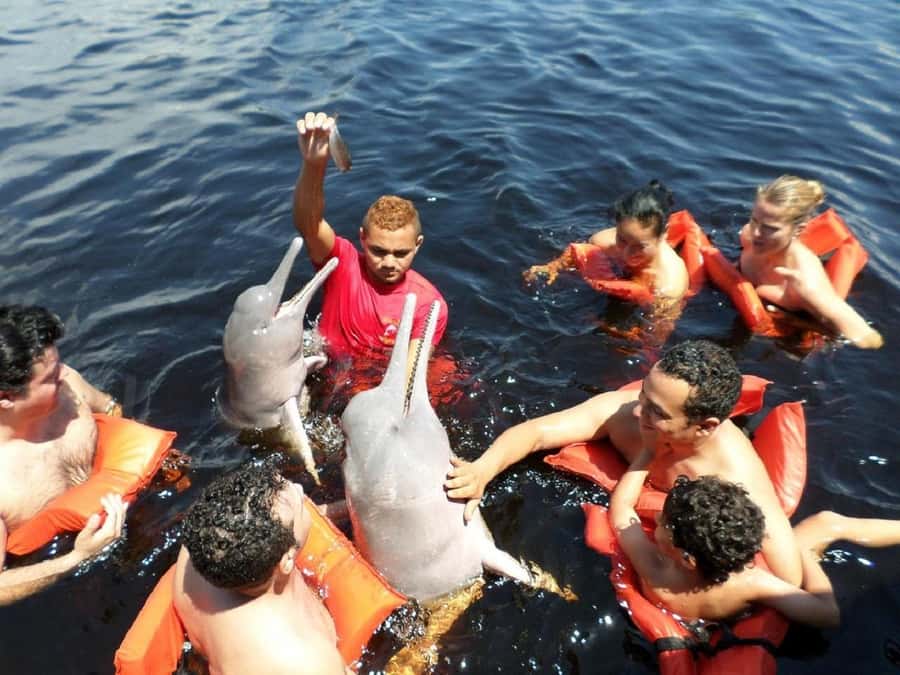 Amazon Safari® Manaus: Day trip on the Amazon River - Seeing two rivers meet near Manaus