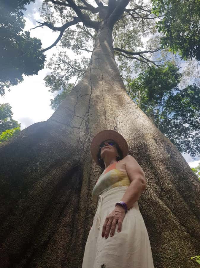 Amazon Safari® Manaus: Day trip on the Amazon River - A regional buffet at a floating restaurant