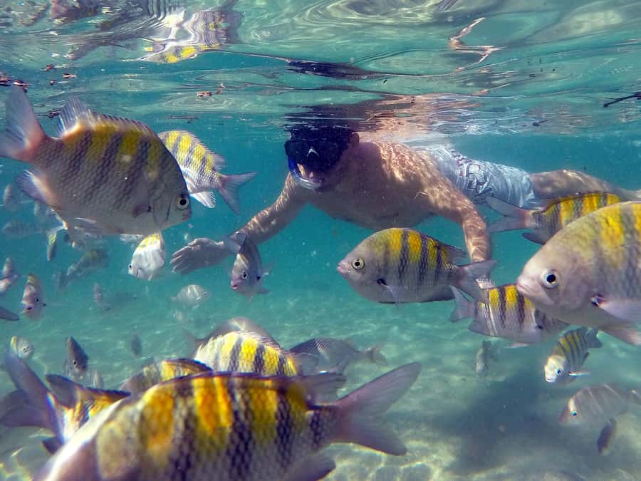 Angra dos Reis and Ilha Grande: Small-Group Fast-Boat Tour - Blue Lagoon and the first chance to snorkel