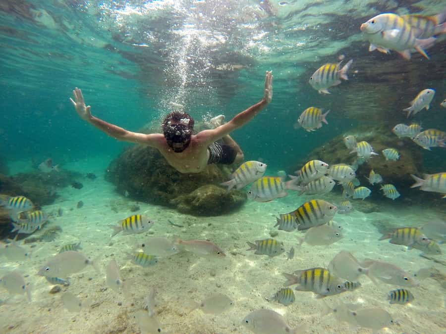 Angra dos Reis and Ilha Grande: Small-Group Fast-Boat Tour - Green Lagoon, Japariz Beach, and Saco do Céu