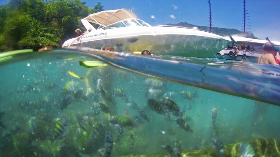 Angra dos Reis: Super Lagoa Azul Speedboat Tour - Grumixama Beach for a quick swim