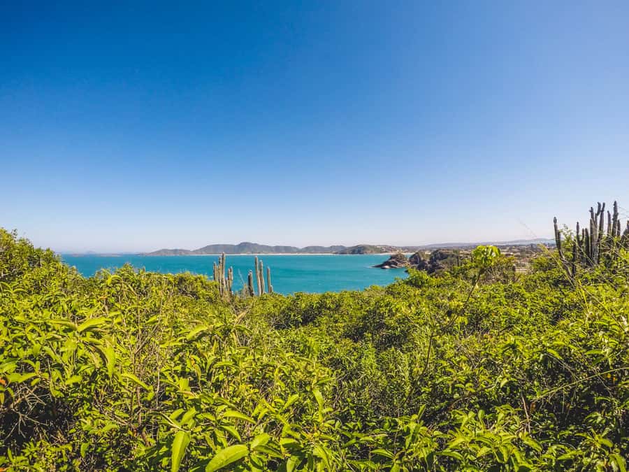 Armação dos Búzios: Walk Through the Natural Pools in Búzios - Is $72 per person a fair price?