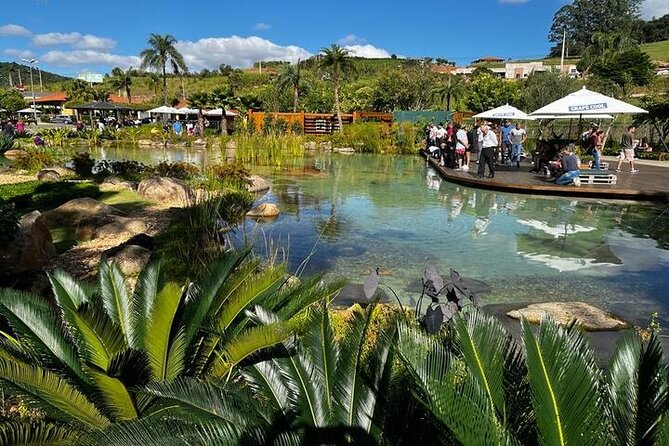 Art Of Wine – Travel Through The So-Called Wine Route Visiting Various Wineries - Who will enjoy this São Roque day most?