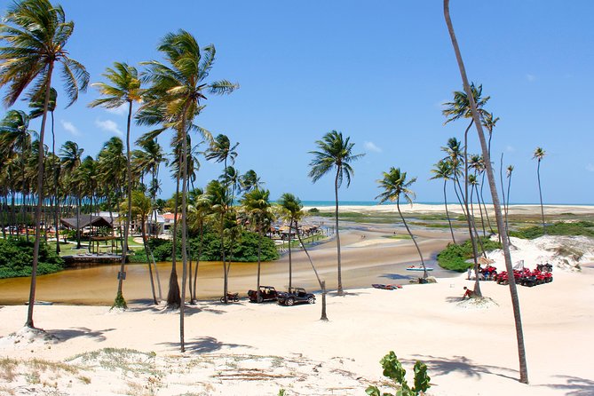 Barra de Punaú Tour - Departing from Natal - Key things to know before booking
