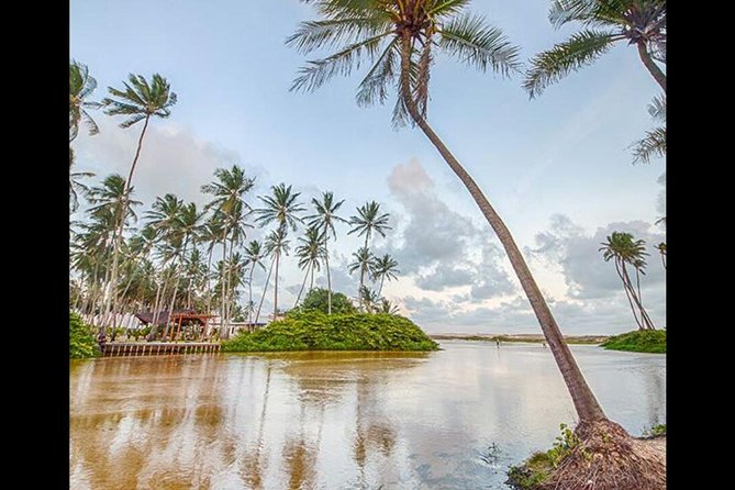 Barra de Punaú Tour - Departing from Natal - What the guide adds to the experience