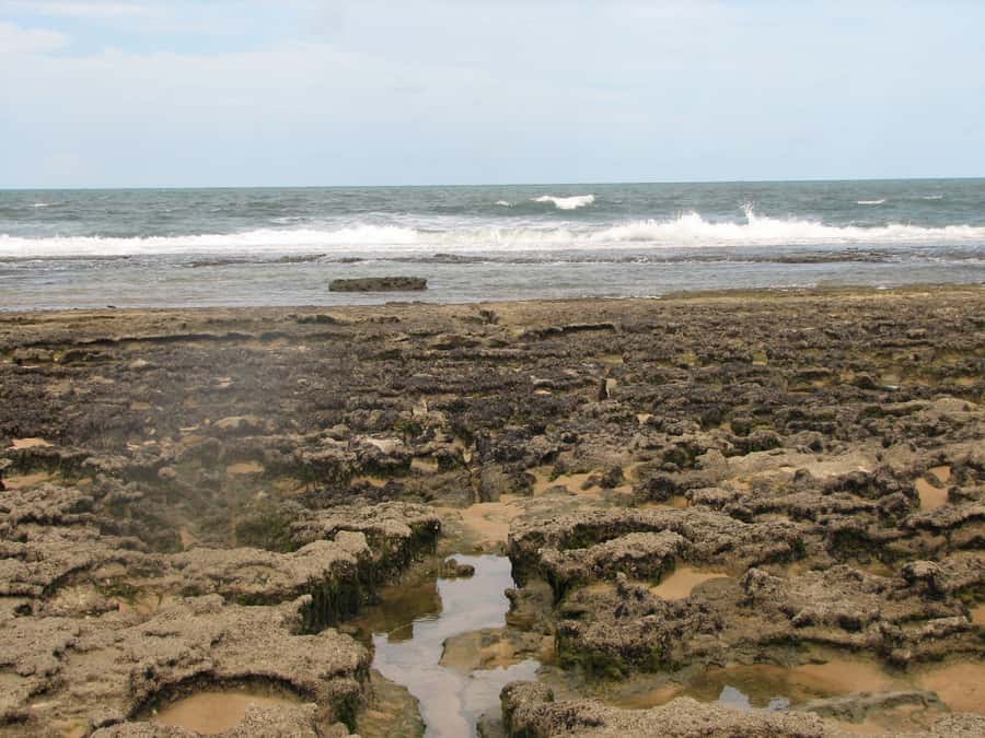 Barra do Cunhaú Full-Day Trip from Natal - Reaching the Cunhaú estuary and shrimp farms