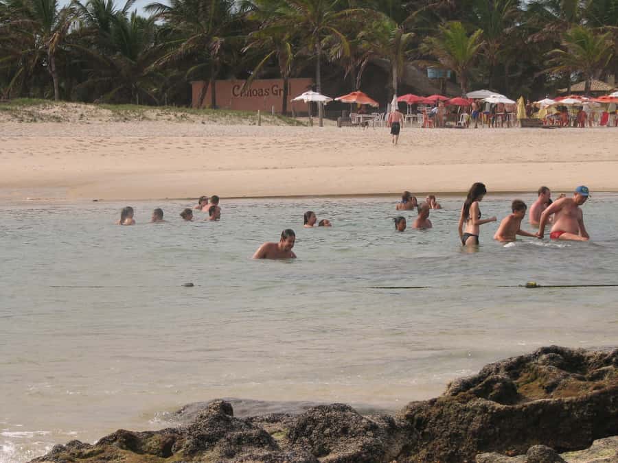 Barra do Cunhaú Full-Day Trip from Natal - What the $72 price includes