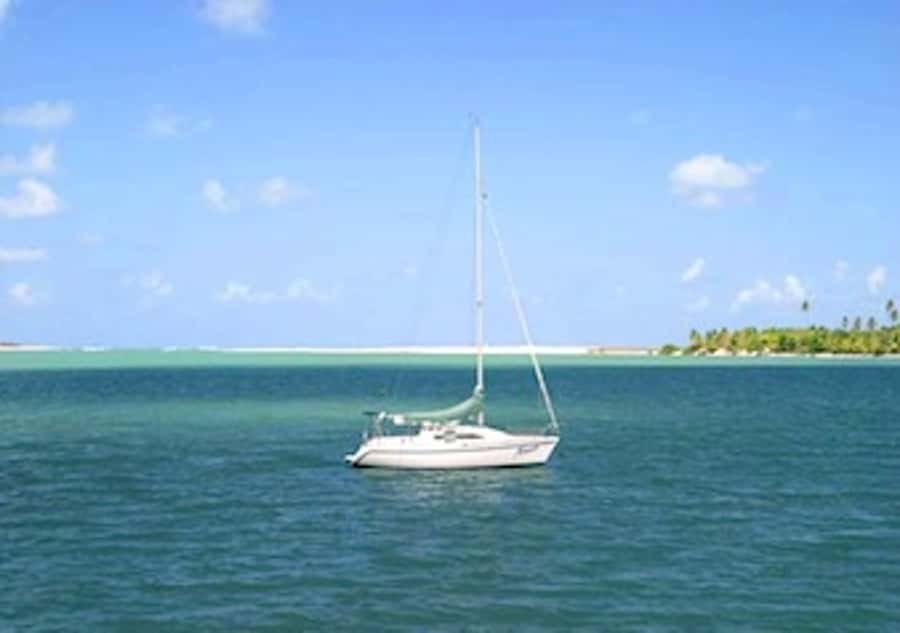 Barra do Cunhaú Full-Day Trip from Natal - Guide language, timing, and comfort