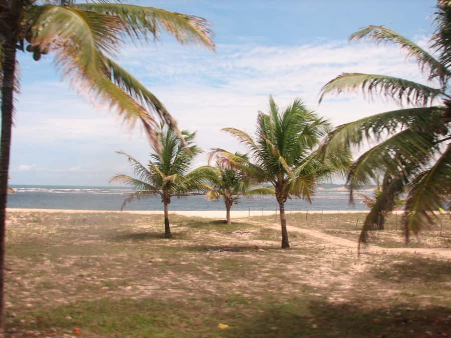 Barra do Cunhaú Full-Day Trip from Natal - The 90-kilometer road journey from Natal