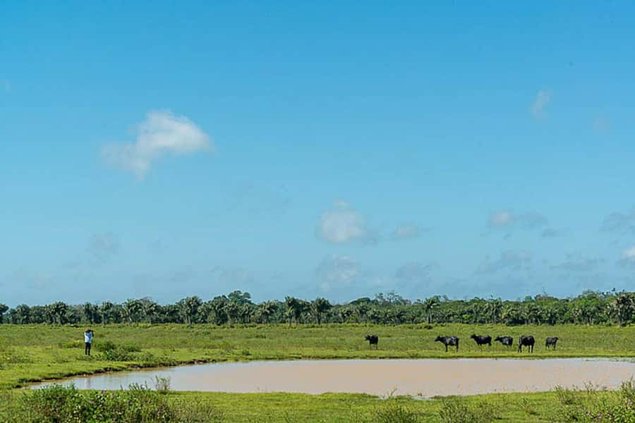 Belém: 2, 3 or 4-Day Marajó Island Excursion with Lodging - What the lodging and meals really mean