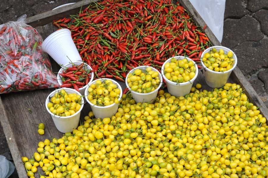Belém: Half-Day City Tour with Ver-o-Peso Market Visit - Why Ver-o-Peso makes a strong first stop
