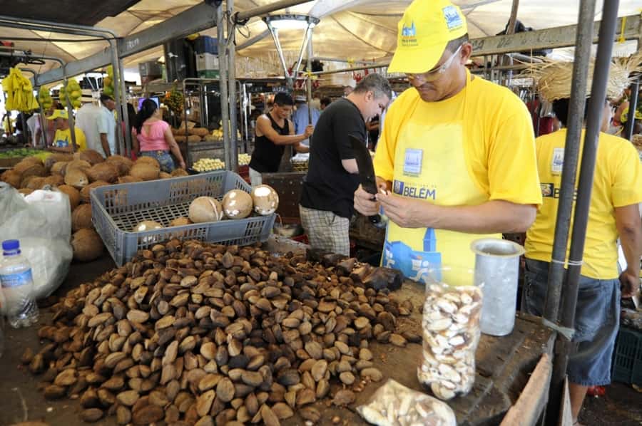 Belém: Half-Day City Tour with Ver-o-Peso Market Visit - República Square, Paz Theater, and the old town