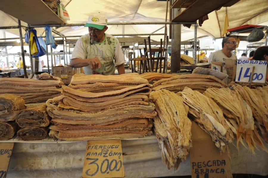 Belém: Half-Day City Tour with Ver-o-Peso Market Visit - Feliz Lusitânia and the first chapter of Belém