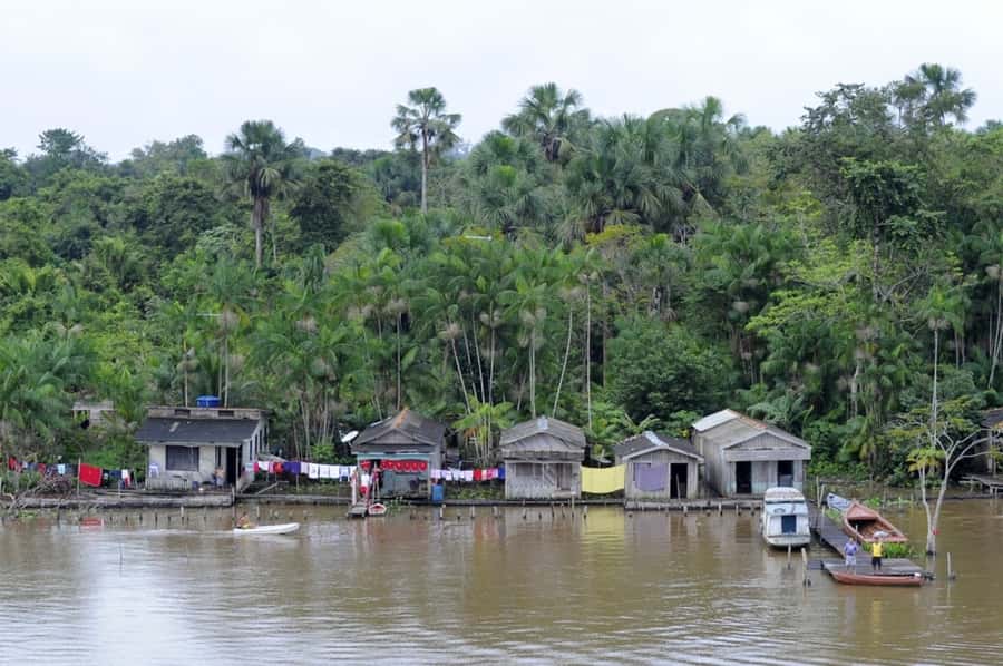 Belém: Half-Day Furos Boat Tour & Riverside Community Visit - Is $58 a fair price for three and a half hours?