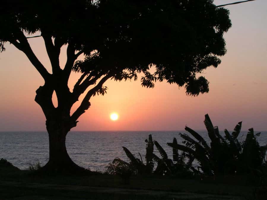 Belém: Ilha do Mosqueiro River Beach Trip - Who will enjoy this day most