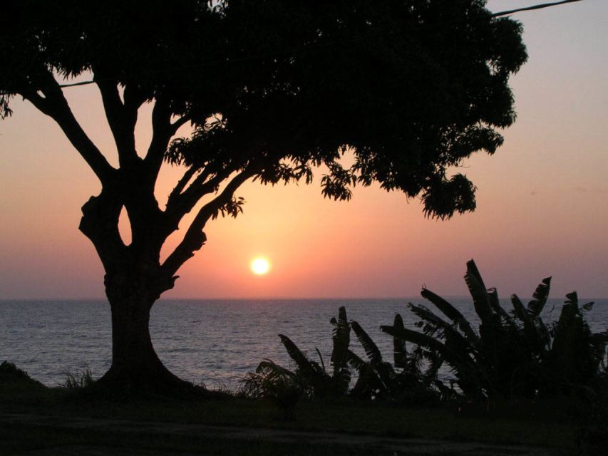 Belém: Ilha do Mosqueiro River Beach Trip - Booking flexibility and language options