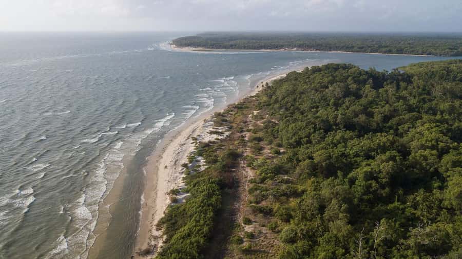 Belém: Marajó Island Day Trip with Buffalo Farm Visit - The Soure route: buffalo, crafts, and Pesqueiro Beach