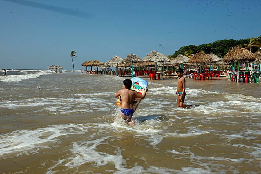 Belém: Marajó Island Day Trip with Buffalo Farm Visit - Guides can make or break the cultural side