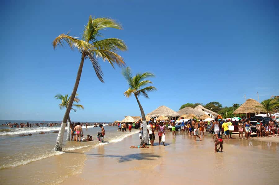 Belém: Marajó Island Day Trip with Buffalo Farm Visit - The Pará River crossing sets the pace