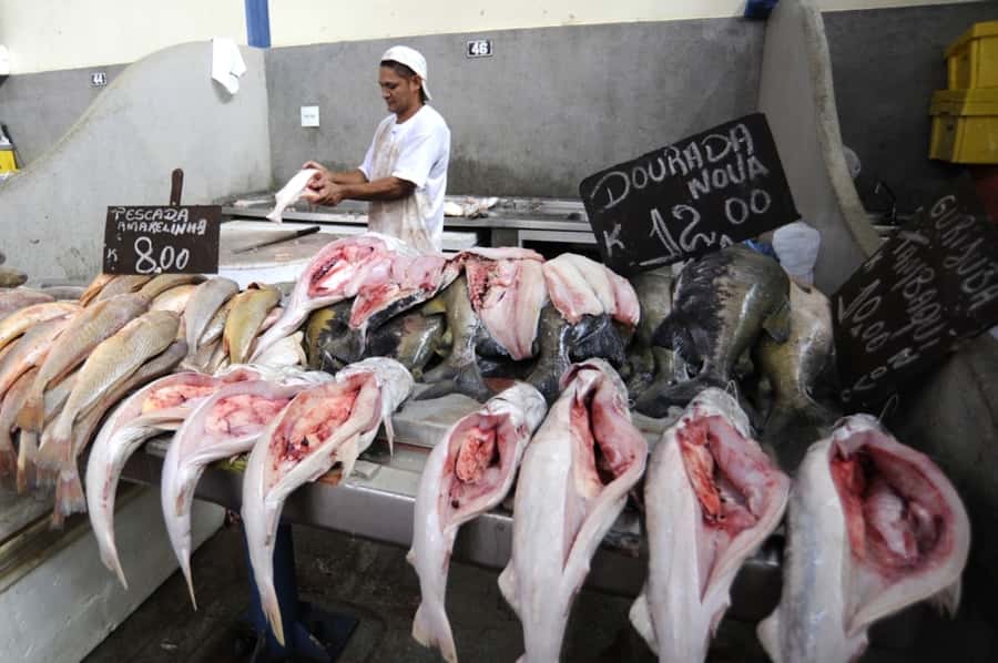 Belém: Ver-o-Peso Market and Full-Day City Tour with Lunch - Forte do Presépio and the place Belém began