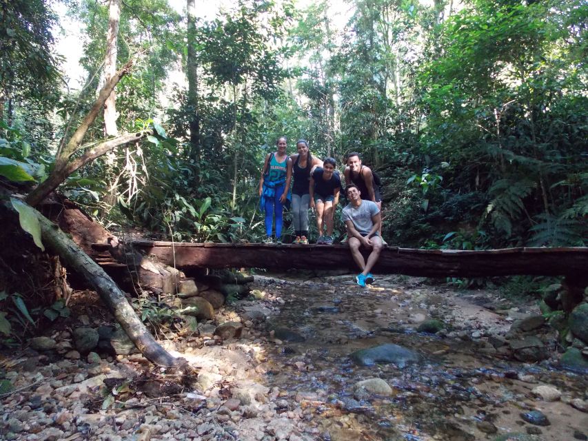 Bico do Papagaio Guided Hiking Tour in the Tijuca Forest - What the eight-hour schedule means