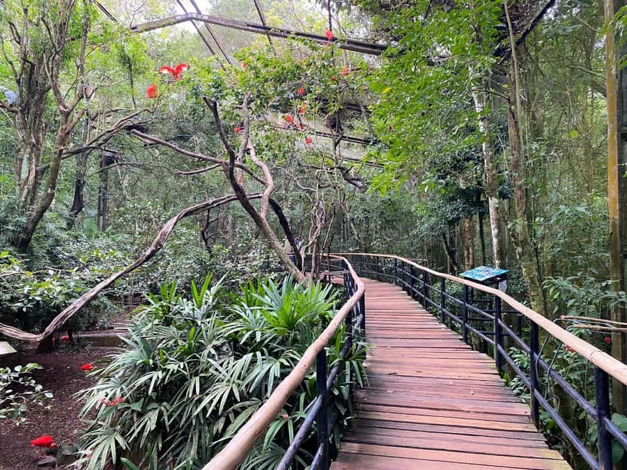 Brazilian Falls, Bird Park and Itaipu Dam - Is $160 a fair price?
