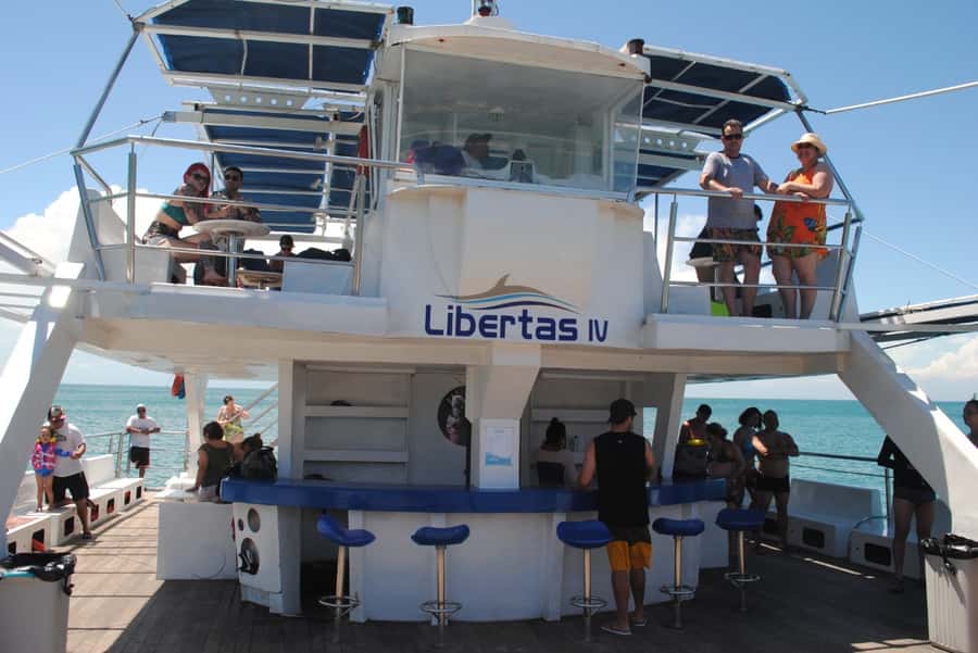 Búzios: Catamaran Boat Tour - Transport Details That Can Affect Your Day