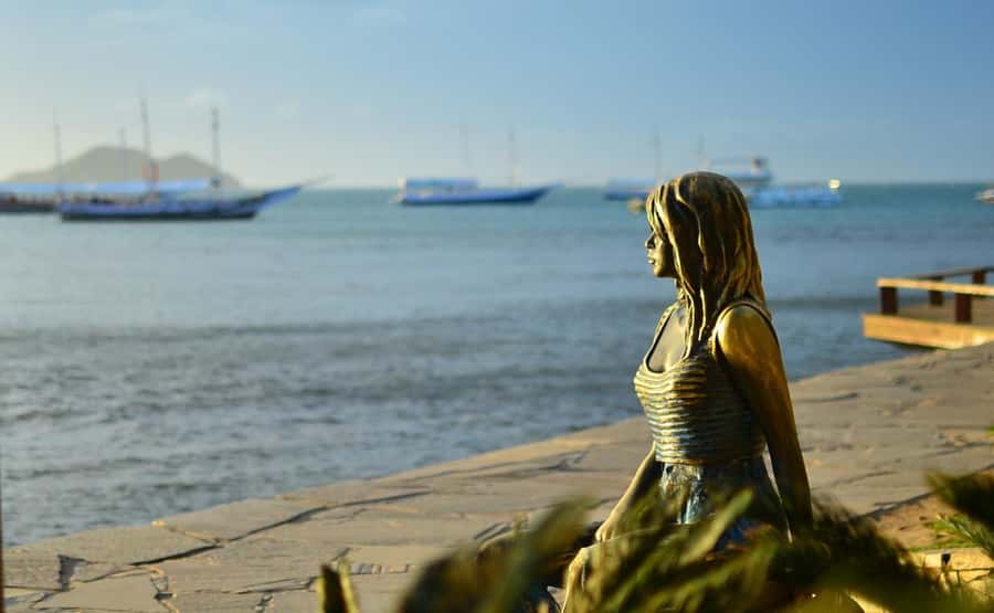 Búzios: City Tour & Beach Hopping with Lunch - Seeing Búzios from the road first