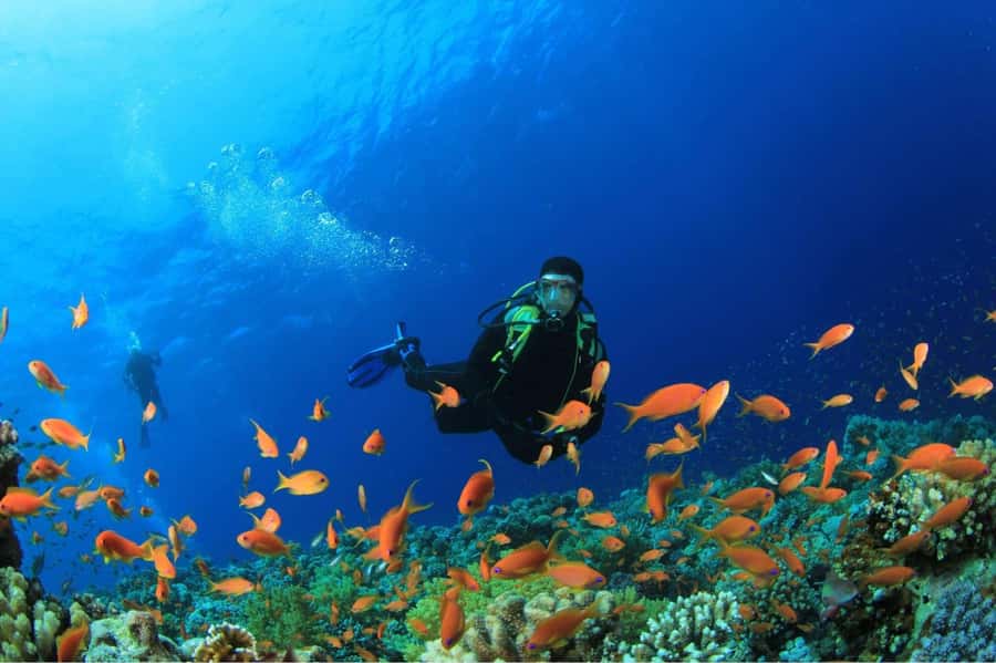 Buzios - DIVING EXPERIENCE - Key points to know before booking