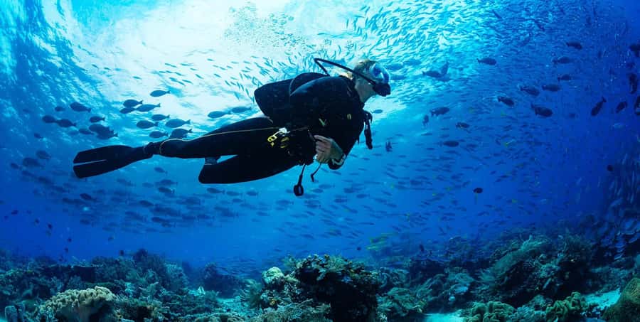Buzios - DIVING EXPERIENCE - What this Búzios sea session is really like