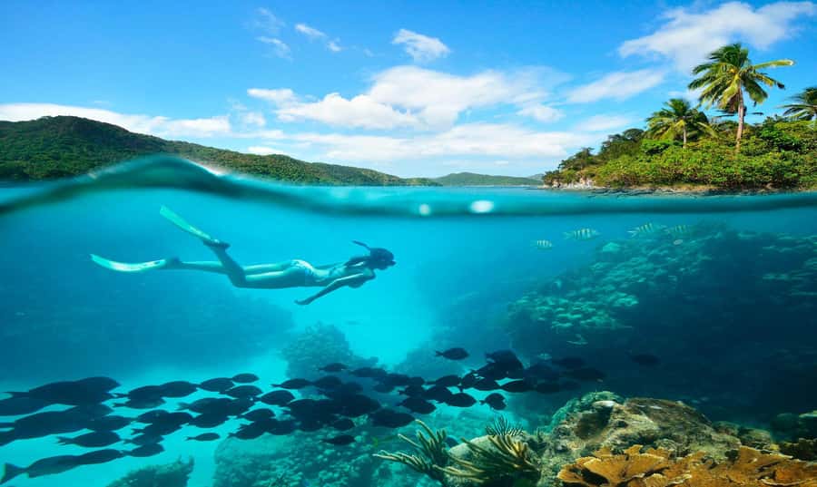 Buzios - DIVING EXPERIENCE - The 1.5-hour lesson at João Fernandinho Beach