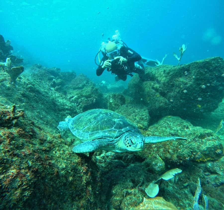 Buzios - DIVING EXPERIENCE - Meeting at Centro de Mergulho Dive is Cool