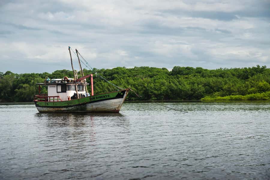 Caburé - Boat tour on the Rio Preguiças - A morning departure from Barreirinhas