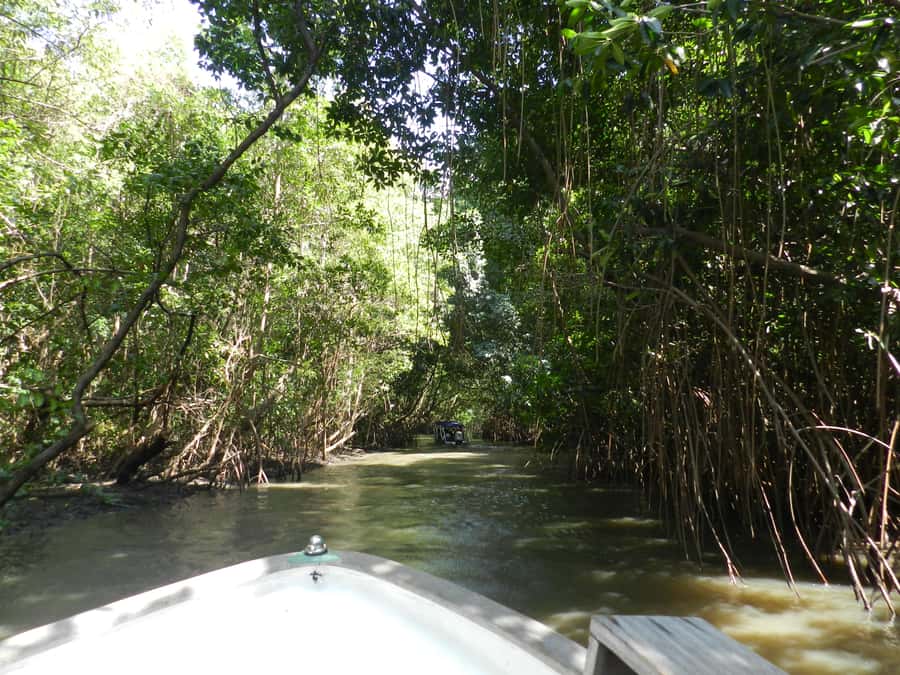 Caburé - Boat tour on the Rio Preguiças - Mandacaru lighthouse and the best view of the day