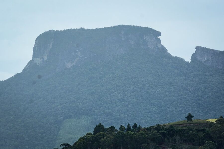 Campos do Jordão: Full-Day Private Tour from São Paulo - Should you book the Campos do Jordão tour?