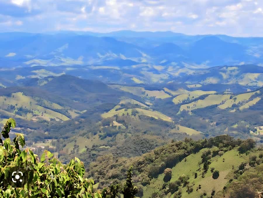 Campos do Jordão The Brazilian Switzerland,Full Day Trip - Your guide can shape the day