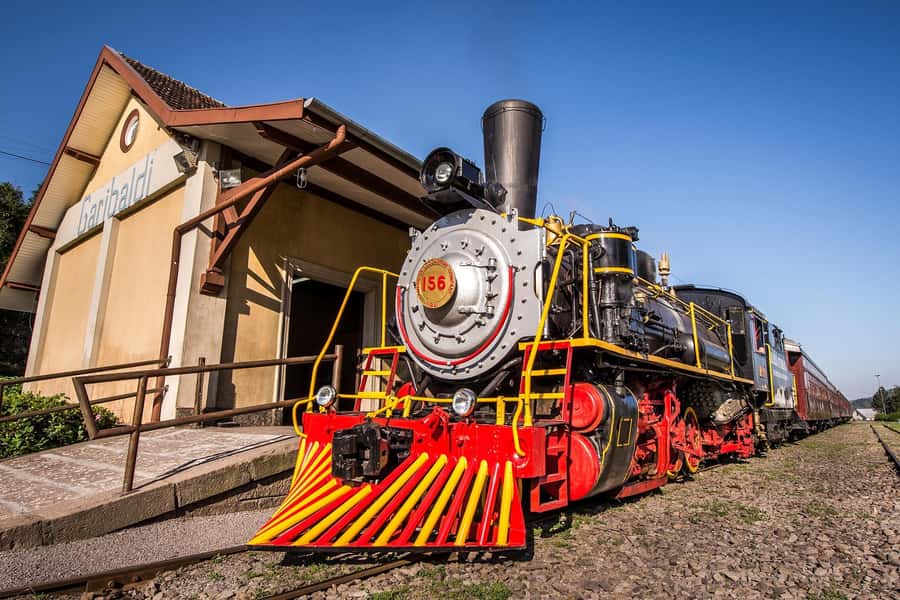 Canela/Gramado: South Wineries, Wine Train, & Italian Park - Who should book this tour?
