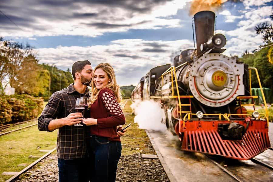Canela/Gramado: South Wineries, Wine Train, & Italian Park - What you see at Aurora Winery
