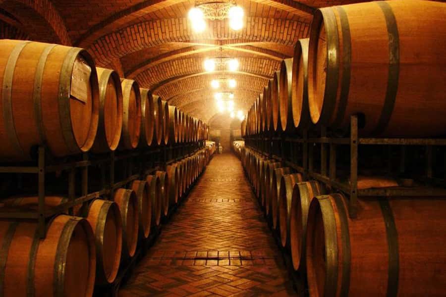 Canela/Gramado: South Wineries, Wine Train, & Italian Park - The two-hour journey from Gramado or Canela